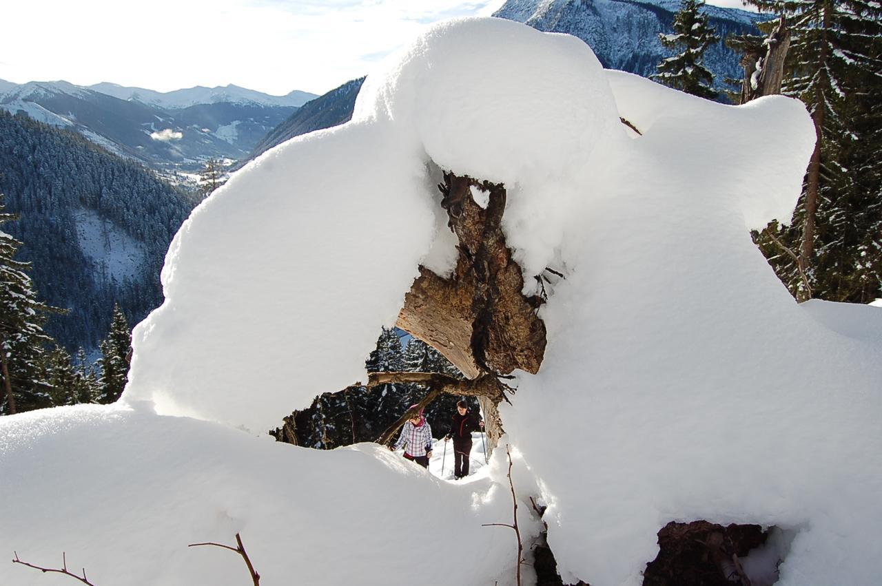 Alpengasthof Grobbauer รอทเทนมาน์น ภายนอก รูปภาพ