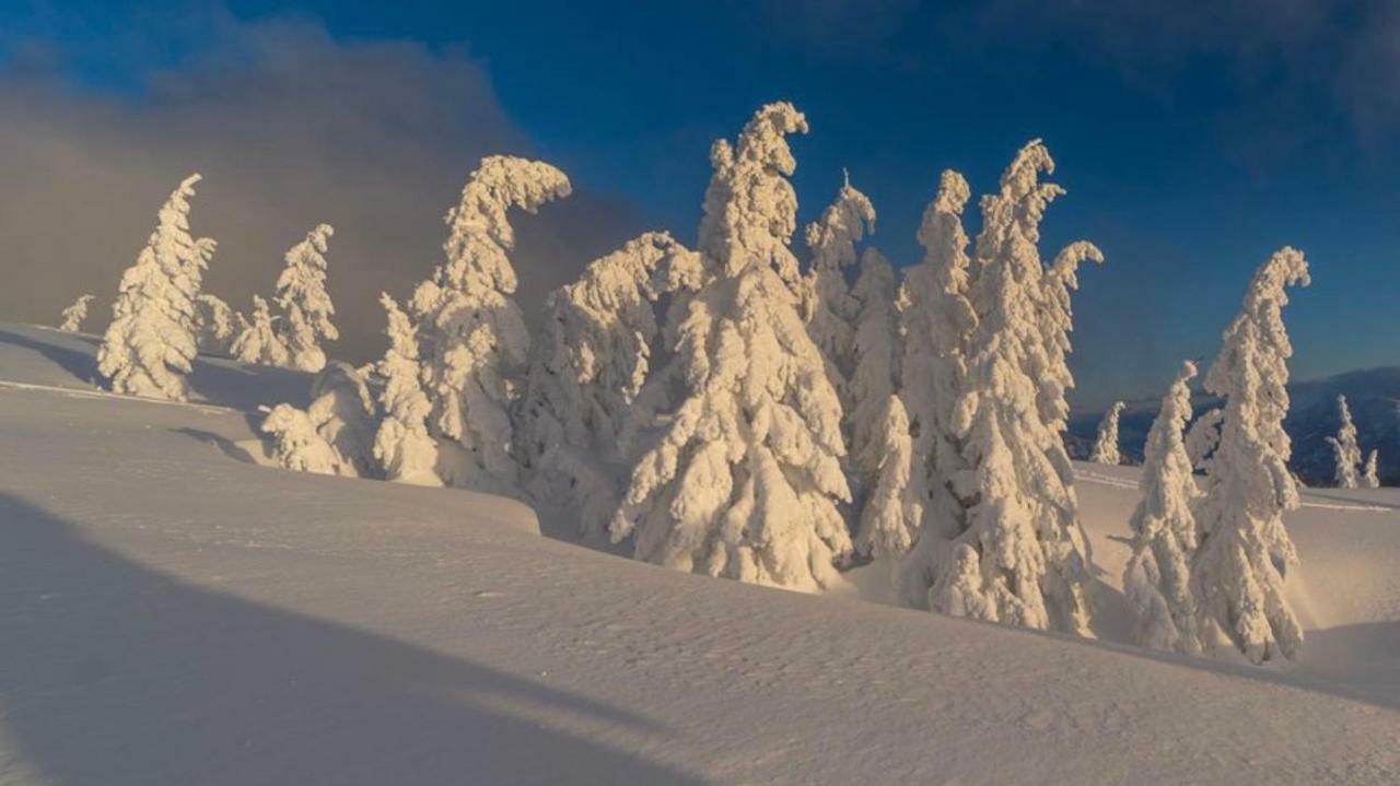 Alpengasthof Grobbauer รอทเทนมาน์น ภายนอก รูปภาพ